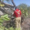 Estas fueron las afectaciones que dejaron las fuertes lluvias en la Laguna