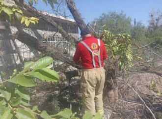 Estas fueron las afectaciones que dejaron las fuertes lluvias en la Laguna