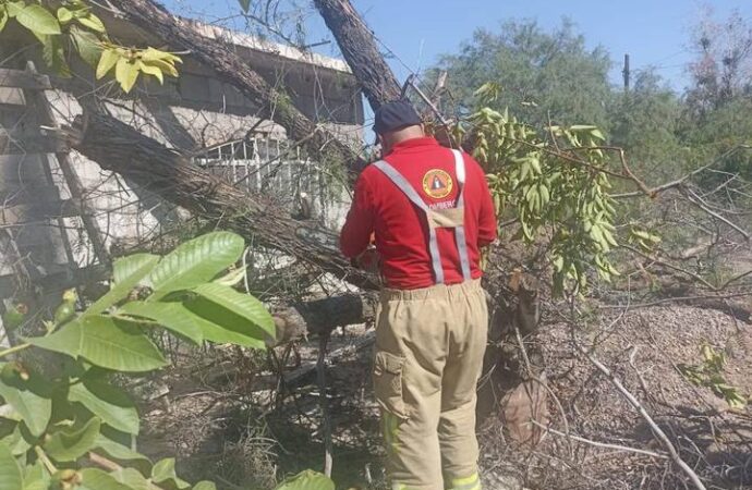 Estas fueron las afectaciones que dejaron las fuertes lluvias en la Laguna