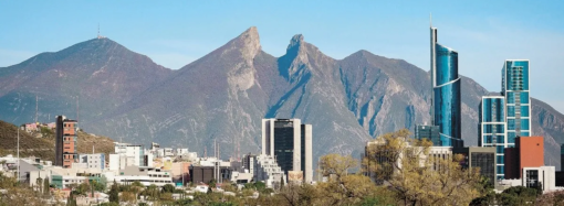 Gusano barrenador paraliza exportación ganadera de Tamaulipas: precios se desploman y pierden mercados clave