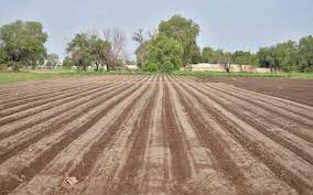 Mujeres agrarias, las que menos conocen sus derechos sobre la tierra: IMES