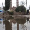 Imponente fervor demuestran los potosinos a la Morenita del Tepeyac