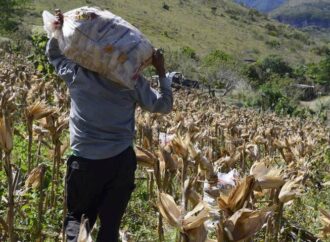 Alerta: Advierten intento de fraude a campesinos duranguenses