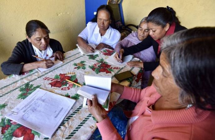 Habrá 27 millones de personas en rezago educativo al concluir gobierno de AMLO: INEA