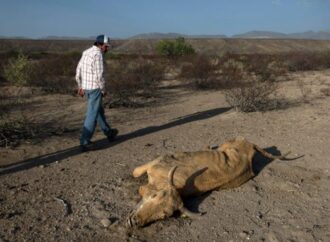 24 municipios entran en alerta máxima por sequía extrema