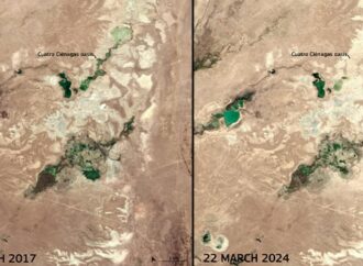 Peligran humedales en Cuatro Ciénegas de Coahuila