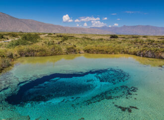 El secreto mejor guardado de Coahuila: pozas azules, dunas de yeso y viñedos ancestrales en un mismo lugar